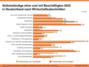 Selbstständige ohne und mit Beschäftigte 2022 in Deutschland nach Wirtschaftsabschnitten