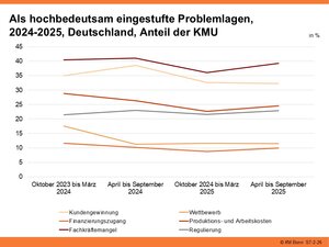 Als hochbedeutsam eingestufte Problemlagen, 2024-2025, Deutschland, Anteil der KMU